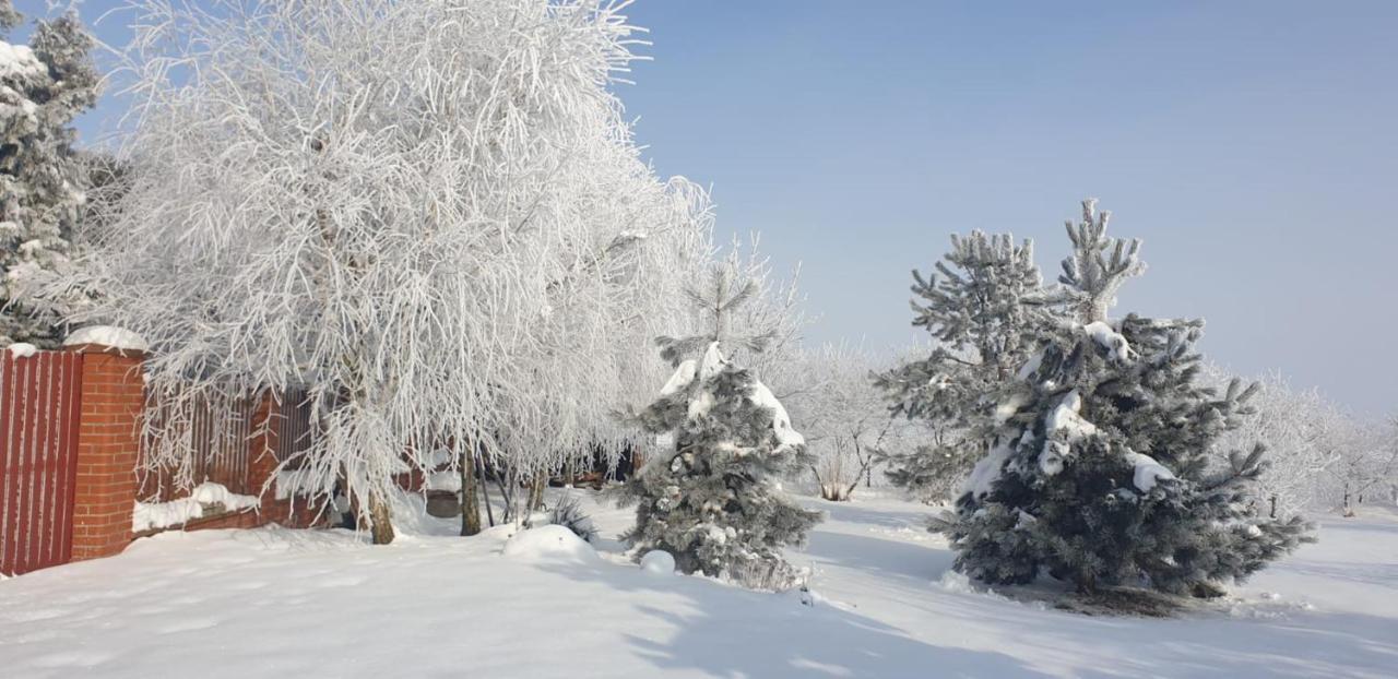 Bialowolskie Wzgorze Zamość 외부 사진